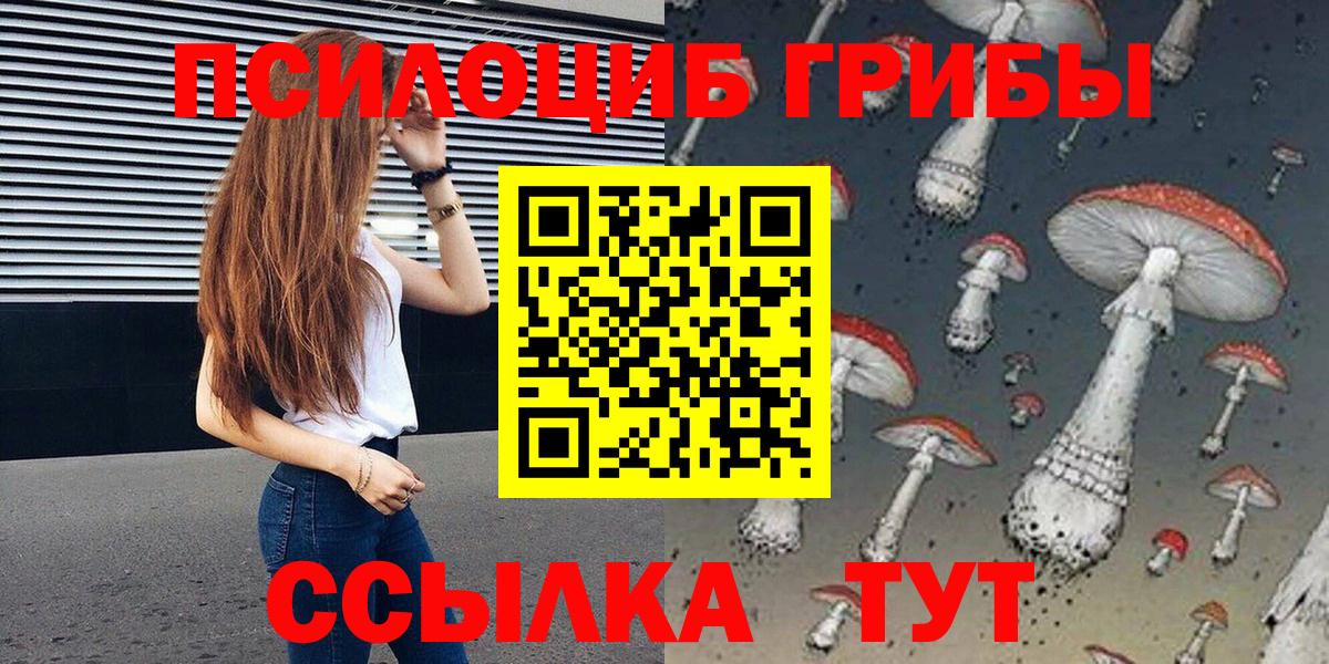 Галлюциногенные грибы Cubensis Новодвинск