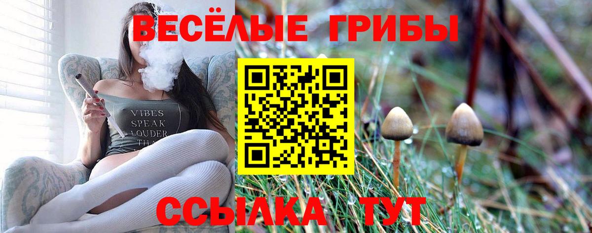 Новодвинск  что такое наркотик  Вход с VPN  Галлюциногенные грибы ЛСД 